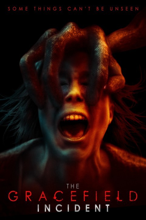 The Gracefield Incident (2017) poster