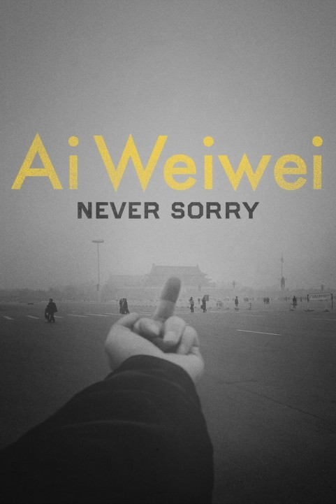 Ai Weiwei: Never Sorry poster