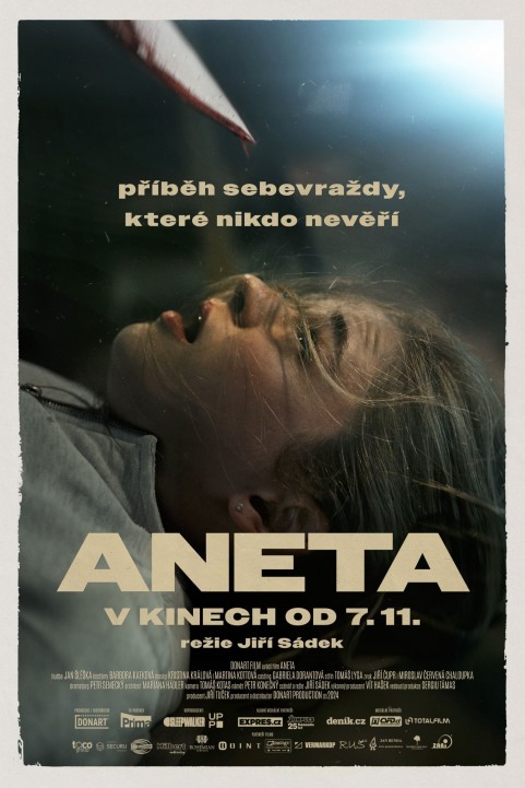 Aneta poster