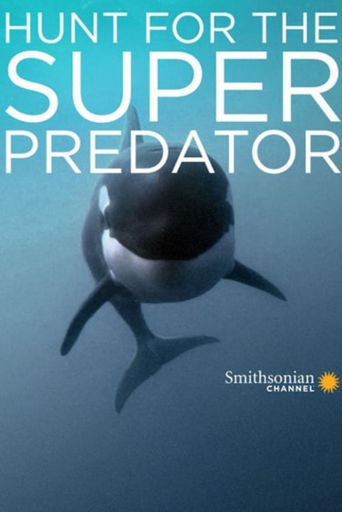 Great White poster