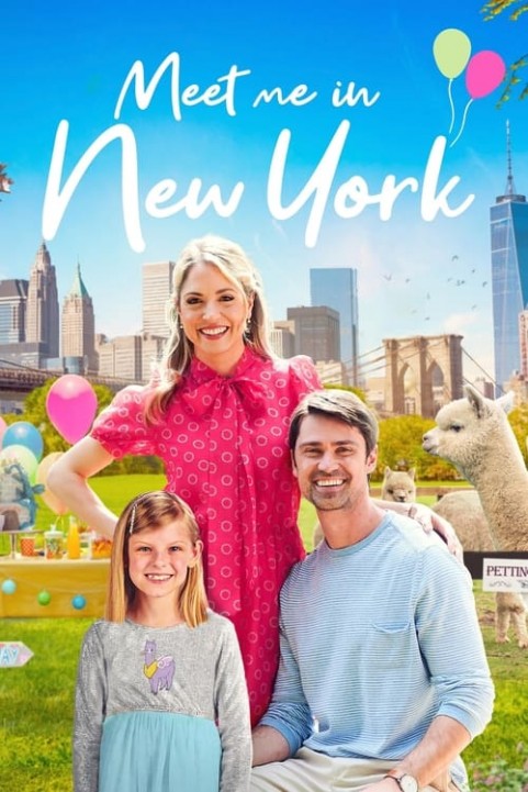 Meet Me in New York poster