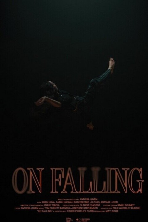 On Falling poster