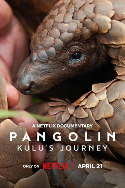 Pangolin: Kulu's Journey poster