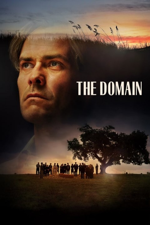 The Domain poster