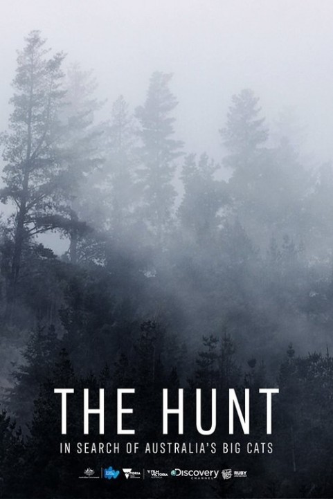 The Hunt: In Search of Australia's Big Cats poster