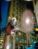 Underdog (2007) Free Download