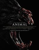 Animal (2014) Free Download