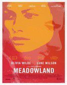 Meadowland (2015) poster