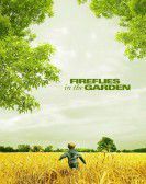 Fireflies in the Garden Free Download