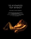 Το Κυπαρίσσι Του Βυθού (2016) poster