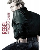 Rebel Without a Cause (1955) poster