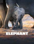 movies_poster_SfZ6_1586118304.jpg Free Download