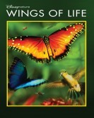 Wings of Life (2011) poster