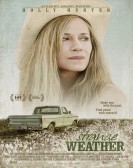 Strange Weather (2016) poster