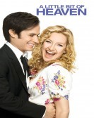 A Little Bit of Heaven (2011) poster
