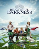 Beautiful Darkness (2019) poster