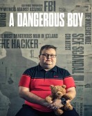 poster_a-dangerous-boy_tt32199678.jpg Free Download