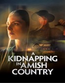 poster_a-kidnapping-in-amish-country_tt33353895.jpg Free Download