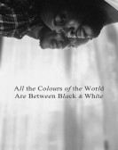 poster_all-the-colours-of-the-world-are-between-black-and-white_tt25161220.jpg Free Download