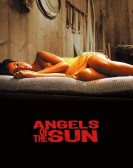 poster_angels-of-the-sun_tt0847154.jpg Free Download