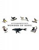 Attenborough's Wonder of Song poster