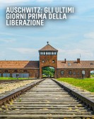 poster_auschwitz-countdown-to-liberation_tt35079353.jpg Free Download