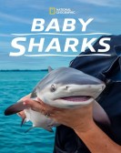 poster_baby-sharks_tt21271008.jpg Free Download