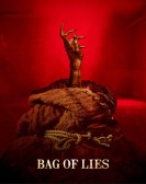 Bag of Lies poster