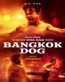 Bangkok Dog Free Download