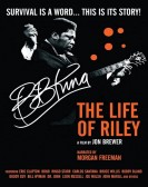 poster_bb-king-the-life-of-riley_tt2259306.jpg Free Download