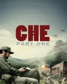 Che: Part One poster