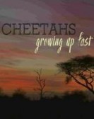 Cheetahs: Growing Up Fast poster