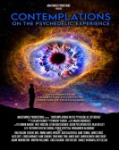poster_contemplations-on-the-psychedelic-experience_tt26922538.jpg Free Download