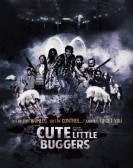 Cute Little Buggers poster