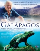 David Attenb poster
