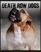 Death Row Do poster