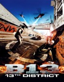 District 13 poster