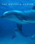 Dolphins and poster