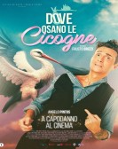 Dove osano le cicogne Free Download