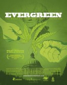 Evergreen: The Road to Legalization in Washington poster