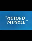 Guided Muscl poster