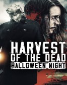 Harvest of the Dead: Halloween Night Free Download