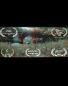 poster_harvest_tt33055331.jpg Free Download