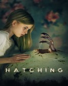 Hatching poster