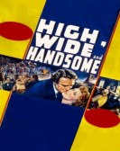 poster_high-wide-and-handsome_tt0029000.jpg Free Download