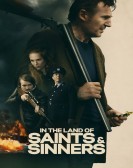 In the Land of Saints and Sinners poster