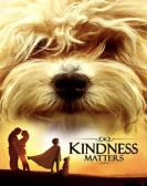 Kindness Matters poster