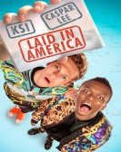 Laid in America (2016) Free Download