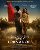 poster_little-tornadoes_tt1592581.jpg Free Download