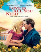 poster_love-is-all-you-need_tt1854236.jpg Free Download